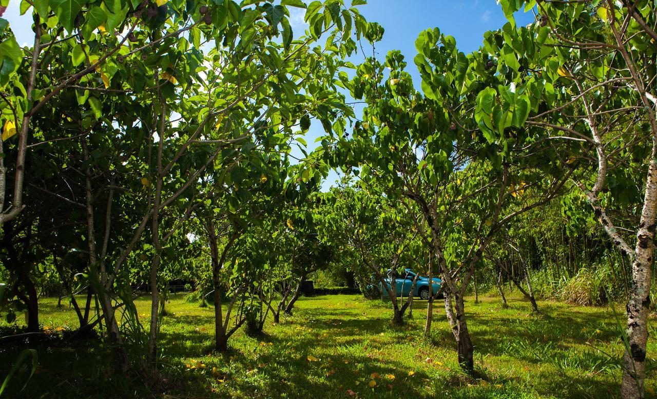 Kirpal Meditation And Ecological Center Pahoa Ngoại thất bức ảnh