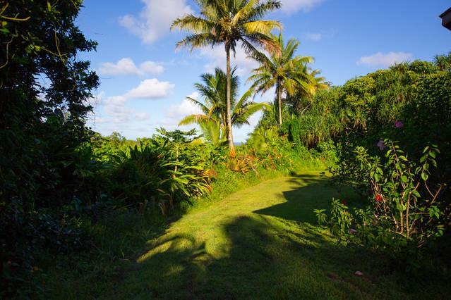 Kirpal Meditation And Ecological Center Pahoa Ngoại thất bức ảnh