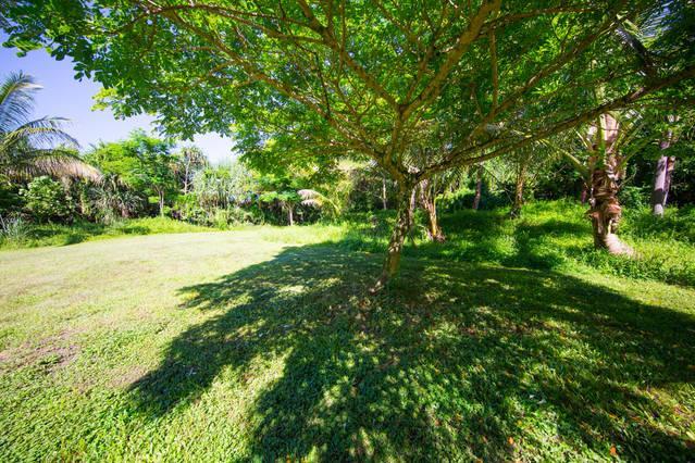 Kirpal Meditation And Ecological Center Pahoa Ngoại thất bức ảnh